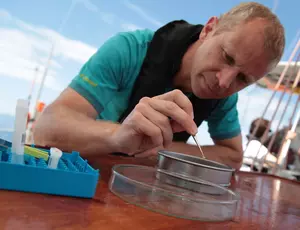 Tara part à la recherche des origines de la pollution plastique en Europe