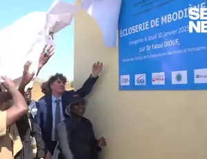 Une écloserie inaugurée à Mbodiène pour faire de l’aquaculture une filière d’avenir