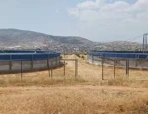 Mission Veoliaforce Jean-Paul Dubois en Cisjordanie avec Experts solidaires, mai 2025