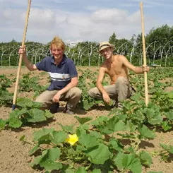 An original jardin de Cocagne... 9355,raw,cocagne.jpg