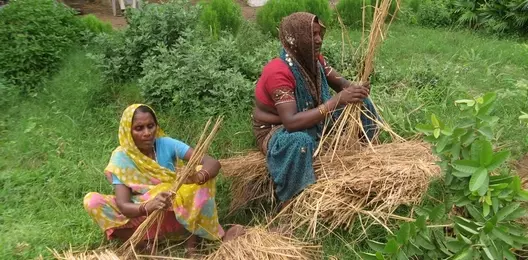 Pushing back the desert in northern India 9566,raw,528-260-RAIN-DROPIMG_8180.jpg